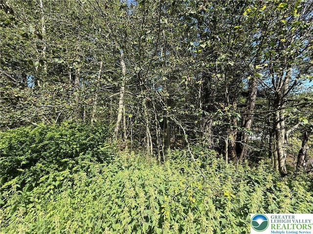 9657 Stony Hollow Dr # 585R, Coolbaugh Twp, PA 18466 - photo 6