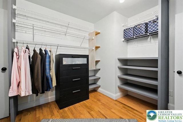 320 Nulton Ave, Palmer Twp, PA 18045 - spacious closet with light wood-type flooring