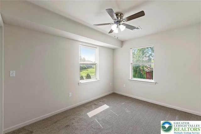 271 W Fairview St W, Bethlehem City, PA 18018 - unfurnished room featuring plenty of natural light, carpet floors, and a ceiling fan