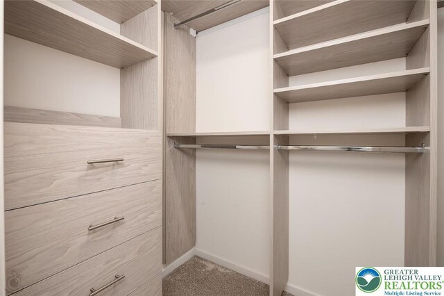 2186 Eagles Landing Dr, Upper Nazareth Twp, PA 18064 - walk in closet featuring carpet