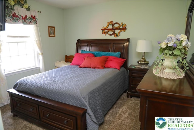 3104 Peacock Dr, Bethlehem Twp, PA 18020 - bedroom with dark colored carpet