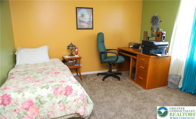 3104 Peacock Dr, Bethlehem Twp, PA 18020 - view of carpeted bedroom