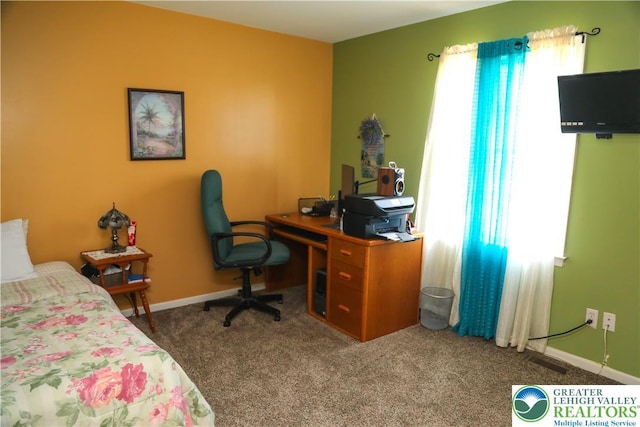 3104 Peacock Dr, Bethlehem Twp, PA 18020 - carpeted bedroom featuring multiple windows