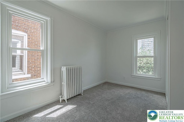 622 N Jefferson St, Allentown City, PA 18102 - carpeted spare room with radiator and ornamental molding