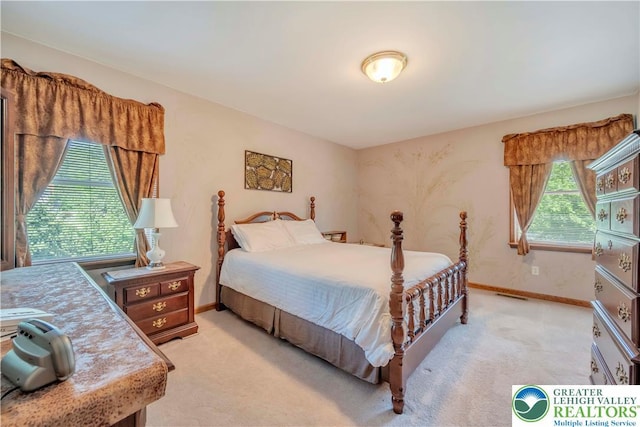 101 Blackstone Dr, Bushkill Twp, PA 18091 - bedroom with light carpet and baseboards