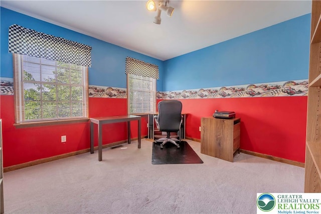 101 Blackstone Dr, Bushkill Twp, PA 18091 - home office with carpet floors