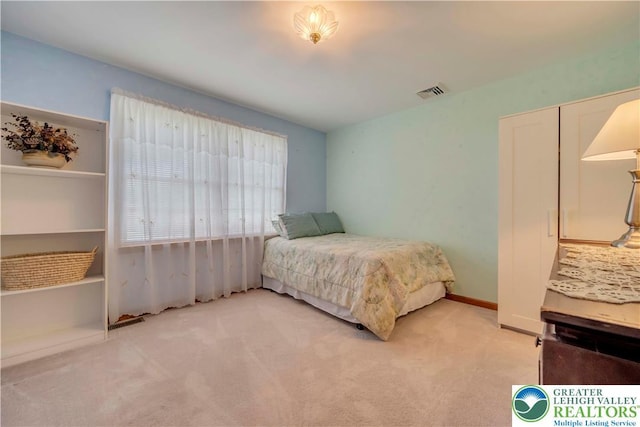 101 Blackstone Dr, Bushkill Twp, PA 18091 - view of carpeted bedroom