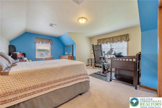 101 Blackstone Dr, Bushkill Twp, PA 18091 - carpeted bedroom with lofted ceiling