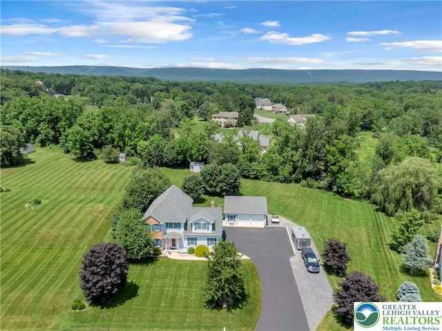 101 Blackstone Dr, Bushkill Twp, PA 18091 - aerial view of property and surrounding area with a forest