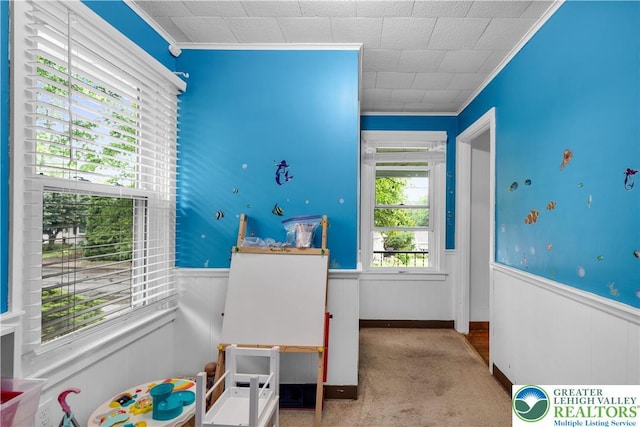 1008 7th, Perkasie Boro, PA 18944 - playroom with ornamental molding, wainscoting, and carpet