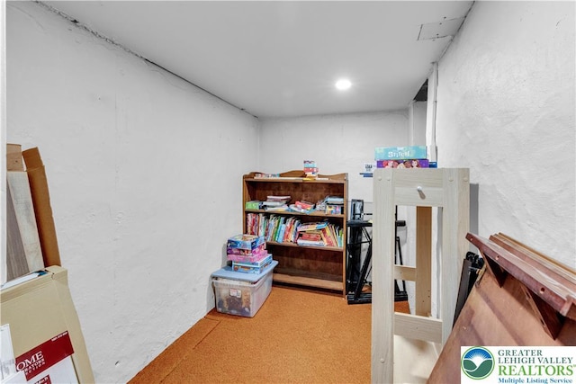 1008 7th, Perkasie Boro, PA 18944 - view of storage