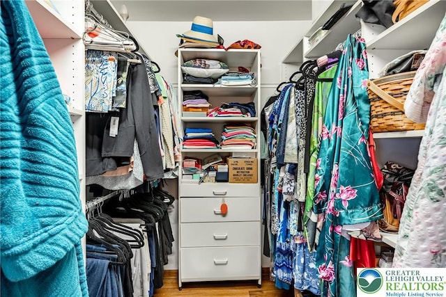 530 Station Rd, Richland Twp, PA 18951 - walk in closet featuring wood finished floors