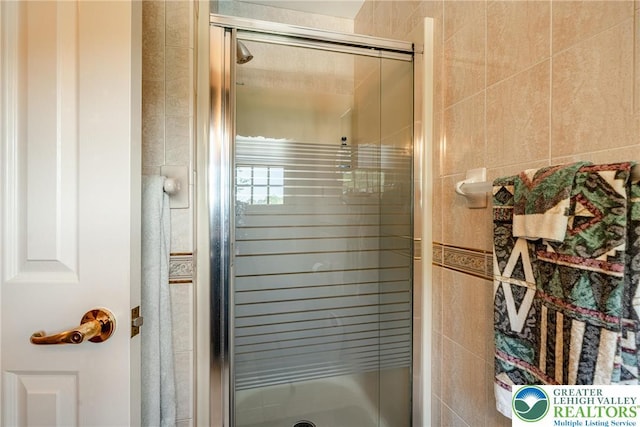 530 Station Rd, Richland Twp, PA 18951 - bathroom view of a shower stall