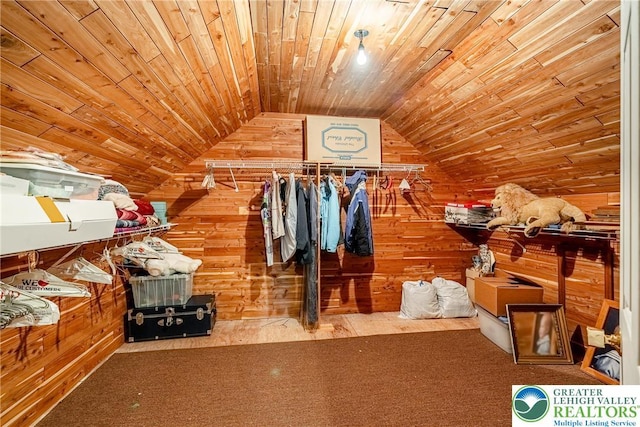 530 Station Rd, Richland Twp, PA 18951 - walk in closet featuring lofted ceiling and carpet floors