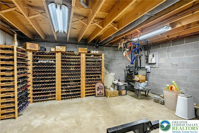 530 Station Rd, Richland Twp, PA 18951 - wine area featuring concrete floors and concrete block wall