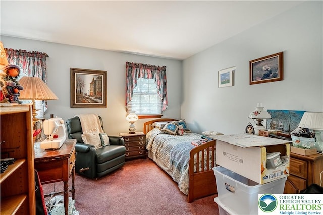 530 Station Rd, Richland Twp, PA 18951 - bedroom featuring carpet flooring
