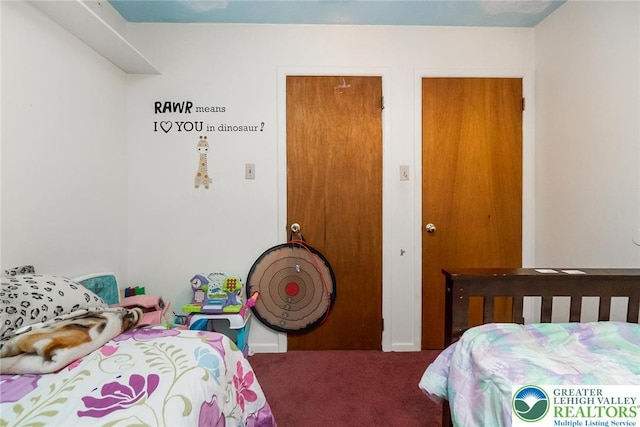2057 Grove St, South Whitehall Twp, PA 18104 - view of carpeted bedroom