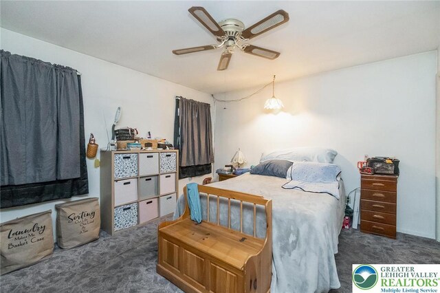 2057 Grove St, South Whitehall Twp, PA 18104 - bedroom with carpet and a ceiling fan