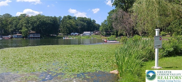 618 Mccabe Ln, Hamilton Twp, PA 18353 - view of grassy yard featuring a water view