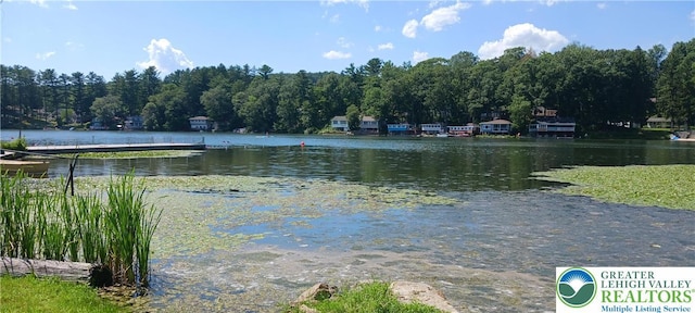 618 Mccabe Ln, Hamilton Twp, PA 18353 - water view