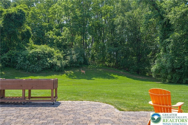 2650 Eagle Ln, Lower Saucon Twp, PA 18055 - view of grassy yard