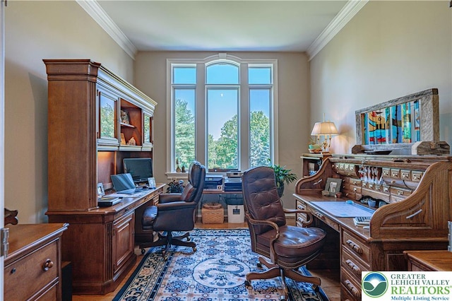 2650 Eagle Ln, Lower Saucon Twp, PA 18055 - office area with healthy amount of natural light, wood finished floors, and ornamental molding
