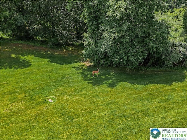 2650 Eagle Ln, Lower Saucon Twp, PA 18055 - view of grassy yard