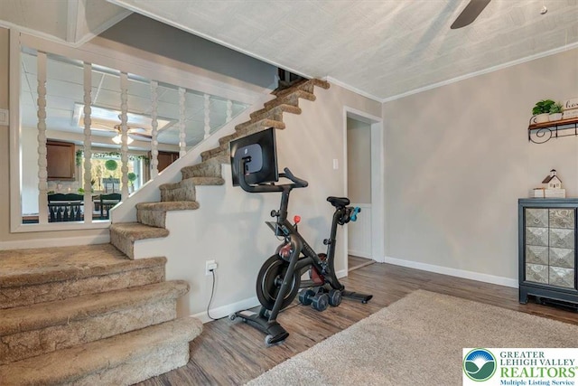 259 5th St, Coaldale Boro, PA 18218 - exercise room featuring wood finished floors and ceiling fan