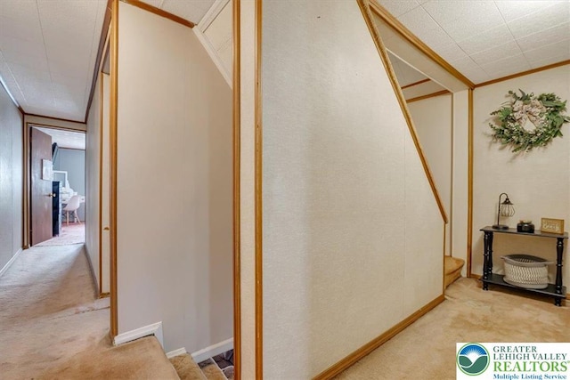 259 5th St, Coaldale Boro, PA 18218 - hall featuring light carpet and ornamental molding