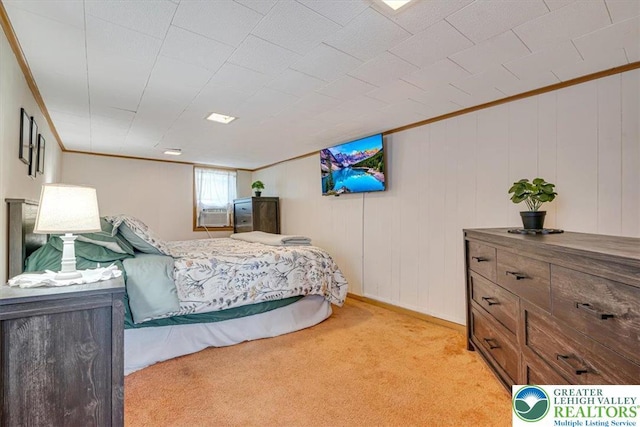259 5th St, Coaldale Boro, PA 18218 - bedroom with light carpet, cooling unit, and crown molding
