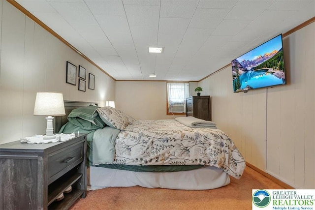 259 5th St, Coaldale Boro, PA 18218 - bedroom with carpet and crown molding
