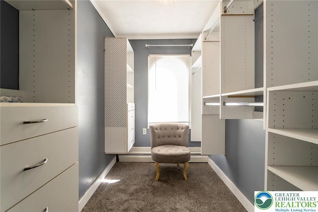 2103 N 1st Ave, Whitehall Twp, PA 18052 - walk in closet featuring carpet