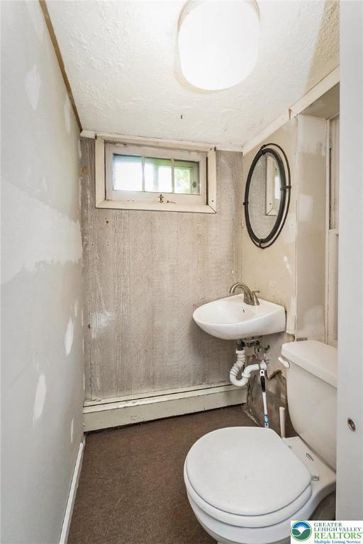 2103 N 1st Ave, Whitehall Twp, PA 18052 - bathroom with a sink and a textured ceiling