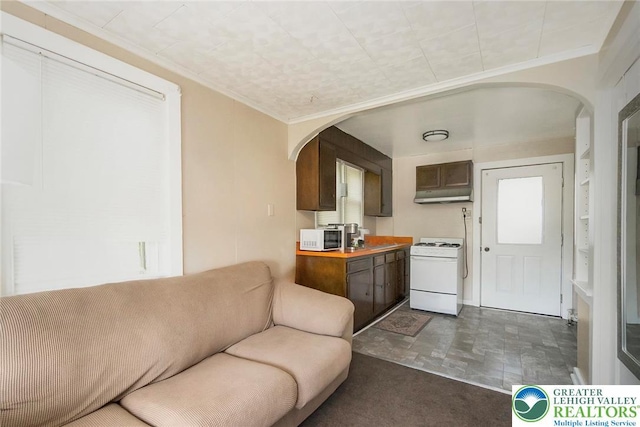 2103 N 1st Ave, Whitehall Twp, PA 18052 - living room featuring arched walkways and crown molding