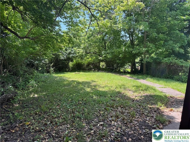 898 Wolf Ave Unit 1-2, Easton, PA 18042 - photo 22