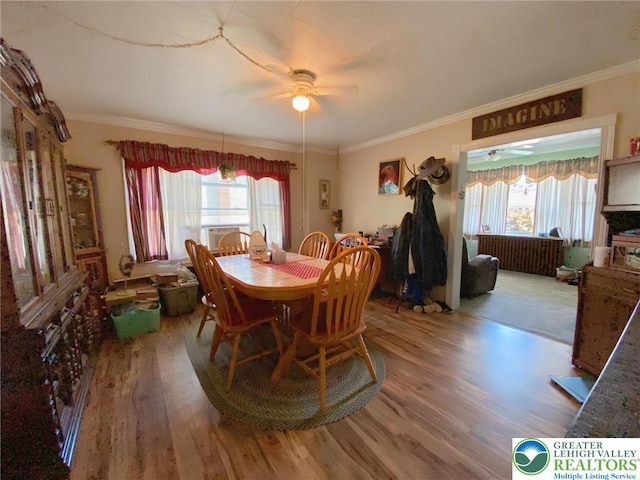 395 Centre St, Parryville Boro, PA 18071 - photo 10