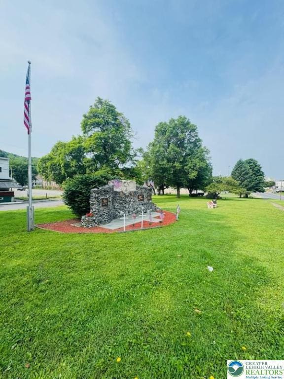 332 W Patterson St, Lansford Boro, PA 18232 - view of green lawn