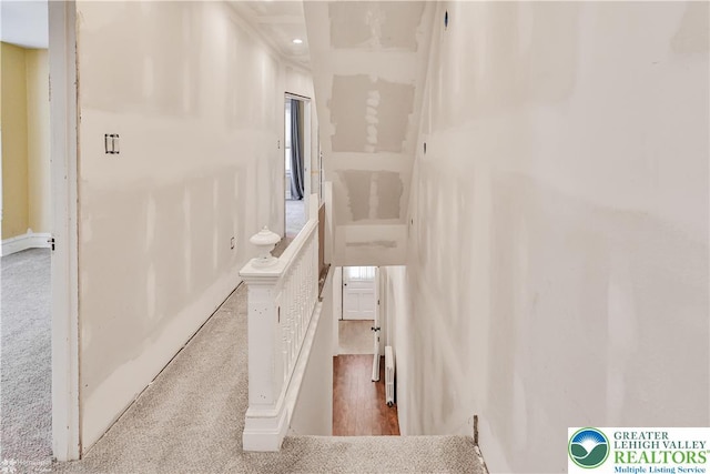 4711 Main St, Whitehall Twp, PA 18052 - staircase featuring carpet floors