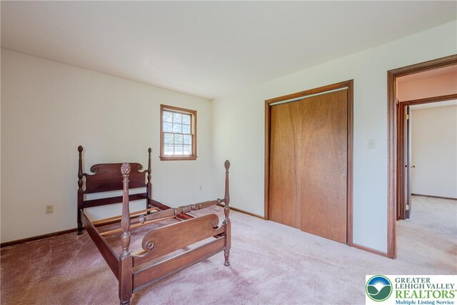 4834 Maple St, Lower Mt Bethel Twp, PA 18013 - bedroom with carpet and a closet