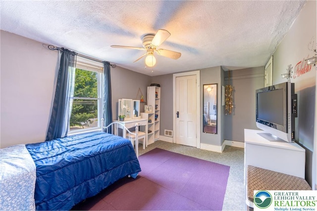 801 Karoly St, Freemansburg Boro, PA 18017 - bedroom with a textured ceiling and ceiling fan