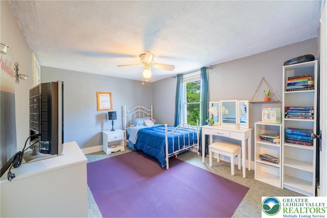 801 Karoly St, Freemansburg Boro, PA 18017 - bedroom with a textured ceiling, carpet, and ceiling fan