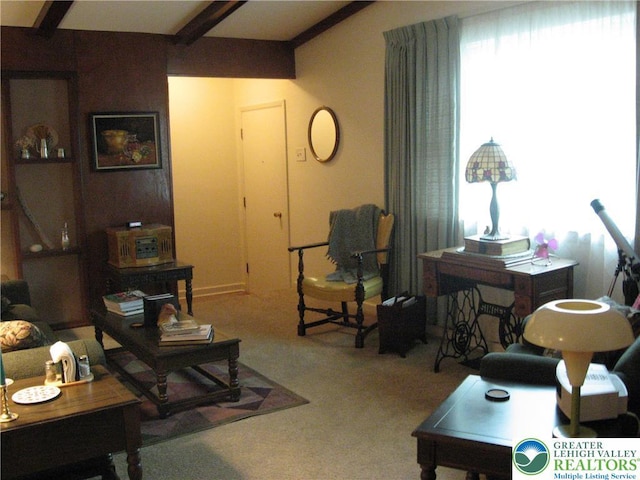 732 N Saint Lucas St, Allentown City, PA 18104 - photo 5