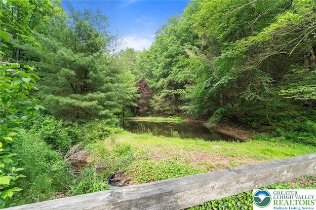 201 Andreas Rd, West Penn Twp, PA 18211 - photo 34