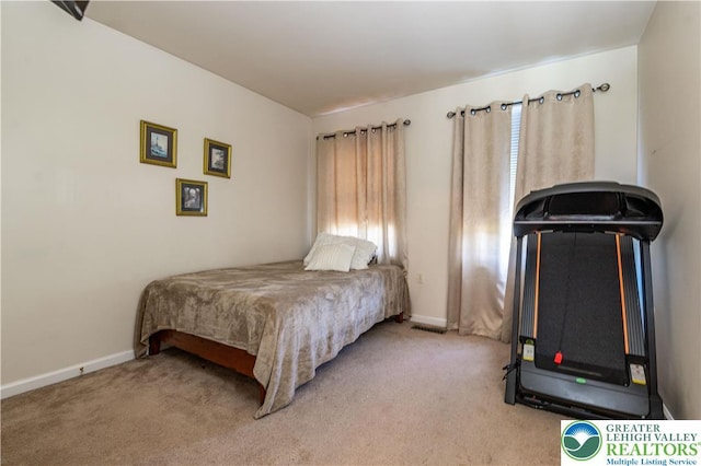 6 Westridge Ct, Middle Smithfield Twp, PA 18302 - bedroom with light colored carpet