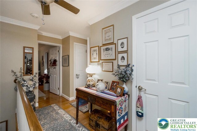 226 N 27 Th St, Allentown City, PA 18104 - photo 19