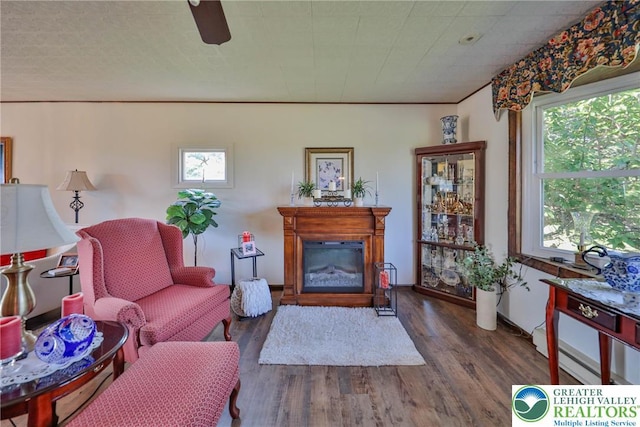 70 Faust N Rd, Pa, PA 19507 - living area featuring healthy amount of natural light, wood finished floors, and a glass covered fireplace