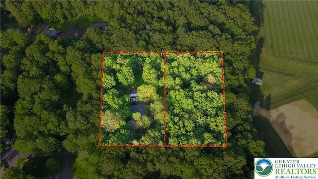 149 Deer Path Ln, Tobyhanna Twp, PA 18346 - aerial view of property's location featuring property parcel outlined
