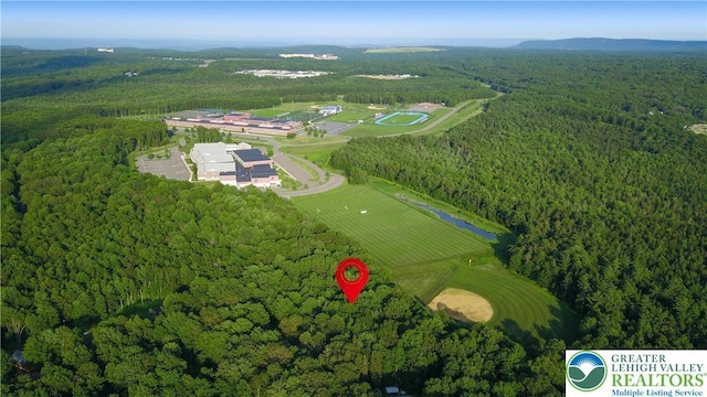 149 Deer Path Ln, Tobyhanna Twp, PA 18346 - aerial view of property's location with a heavily wooded area and a mountain backdrop
