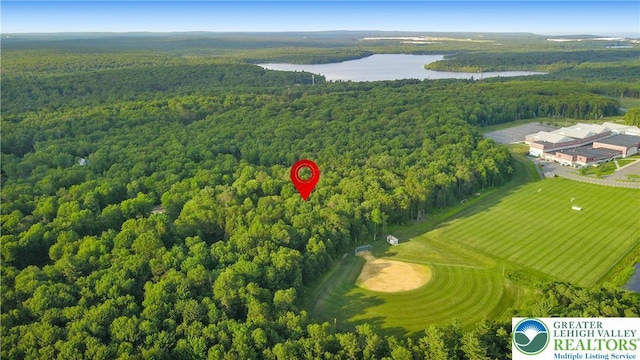 149 Deer Path Ln, Tobyhanna Twp, PA 18346 - aerial view of a forest and a nearby body of water