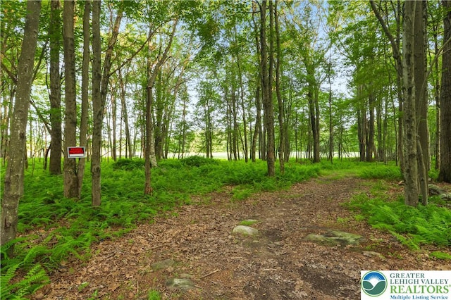 149 Deer Path Ln, Tobyhanna Twp, PA 18346 - view of undeveloped land